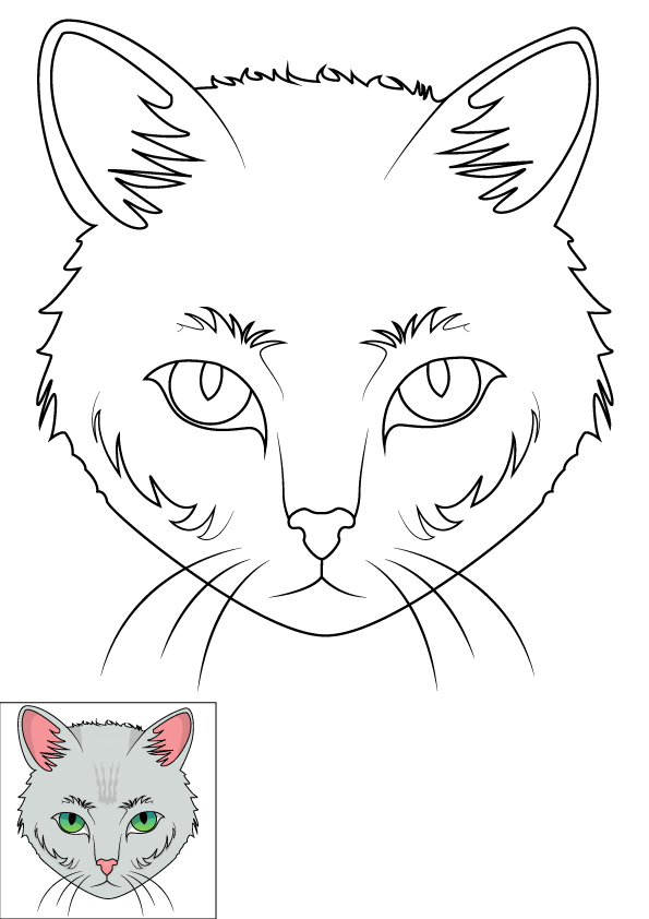 How to Draw A Cat Face Step by Step Printable Color