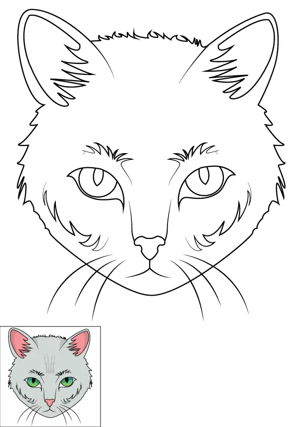 How to Draw A Cat Face Step by Step Printable Color