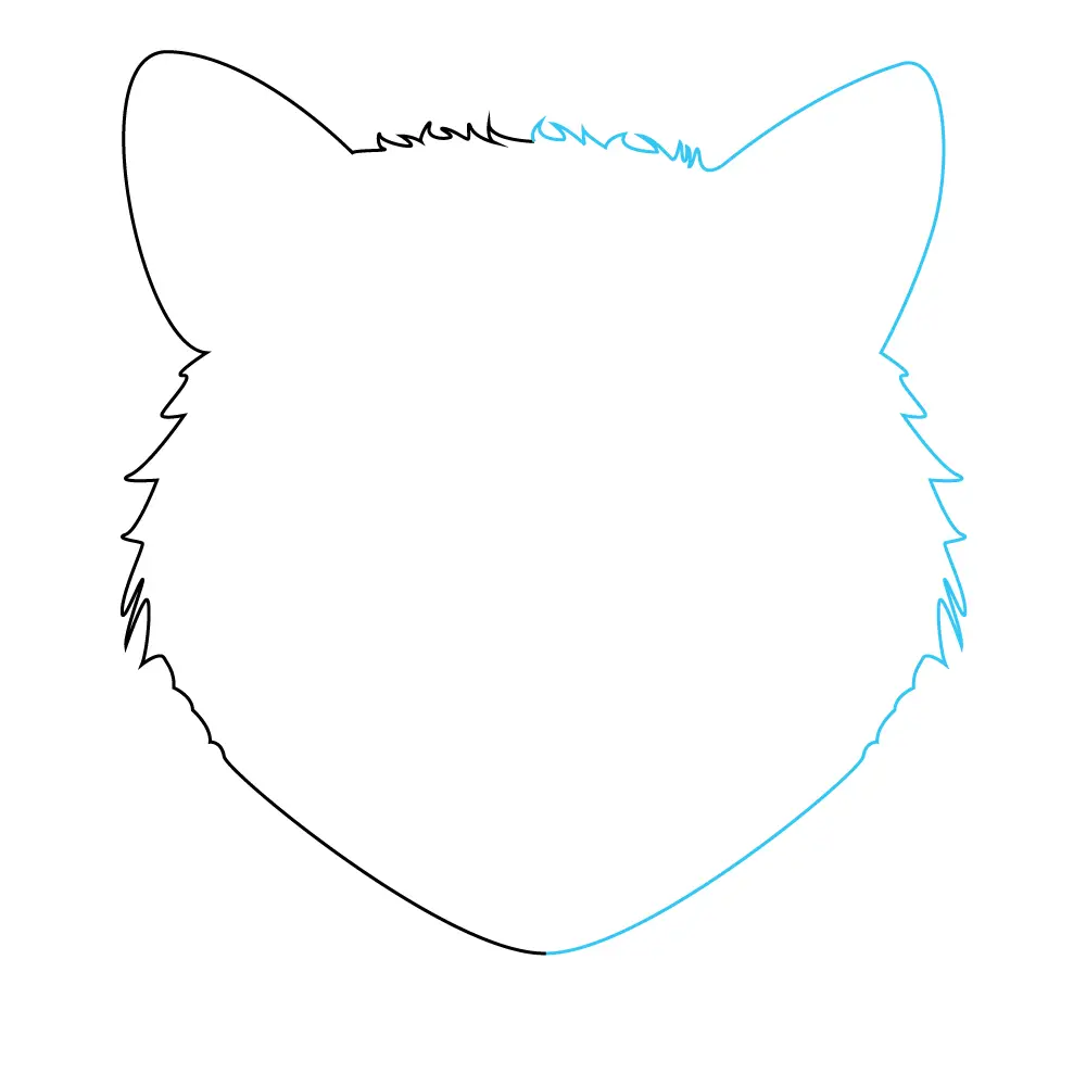 How to Draw A Cat Face Step by Step Step  2