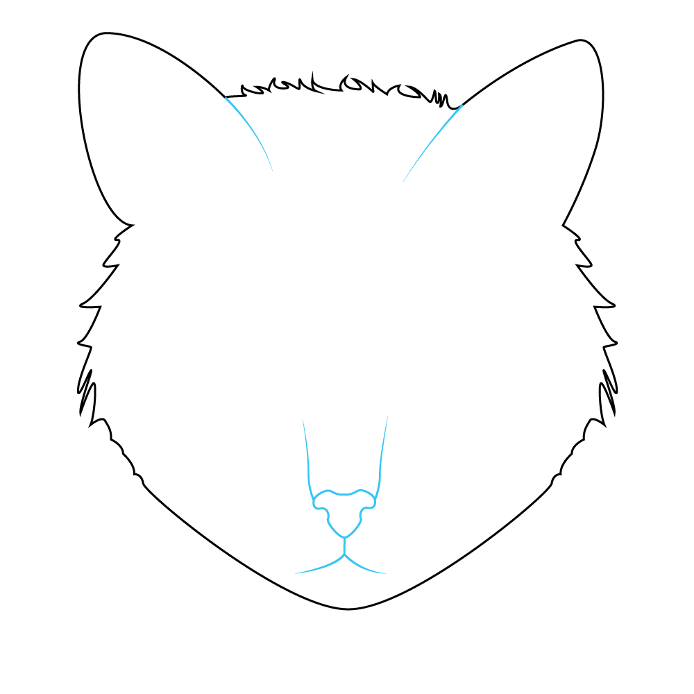 How to Draw A Cat Face Step by Step Step  3
