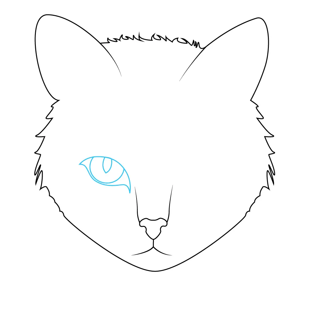 How to Draw A Cat Face Step by Step Step  4