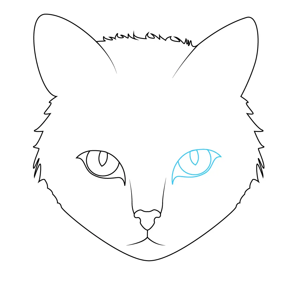 How to Draw A Cat Face Step by Step Step  5