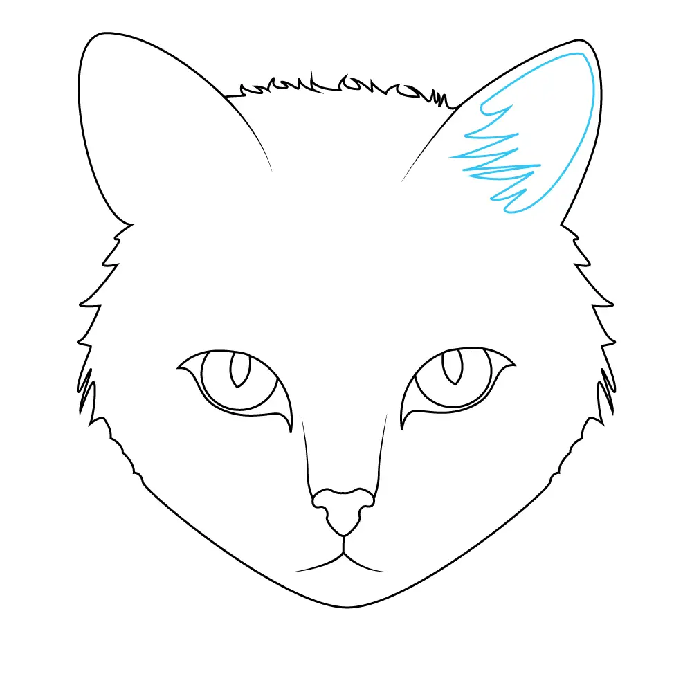 How to Draw A Cat Face Step by Step Step  6