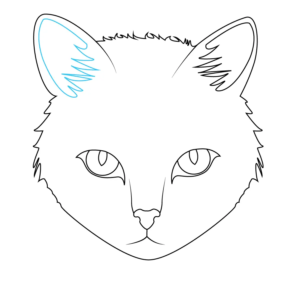 How to Draw A Cat Face Step by Step Step  7