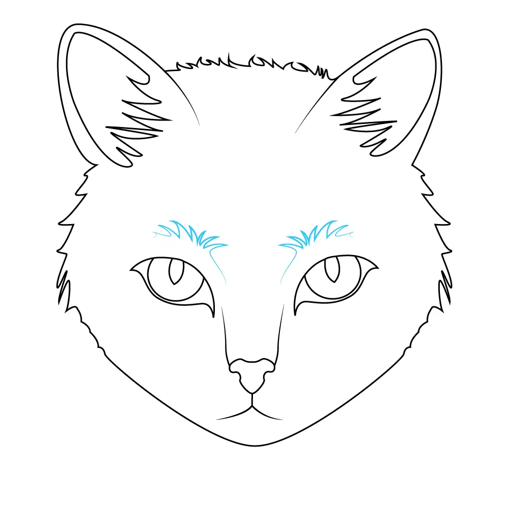 How to Draw A Cat Face Step by Step Step  8