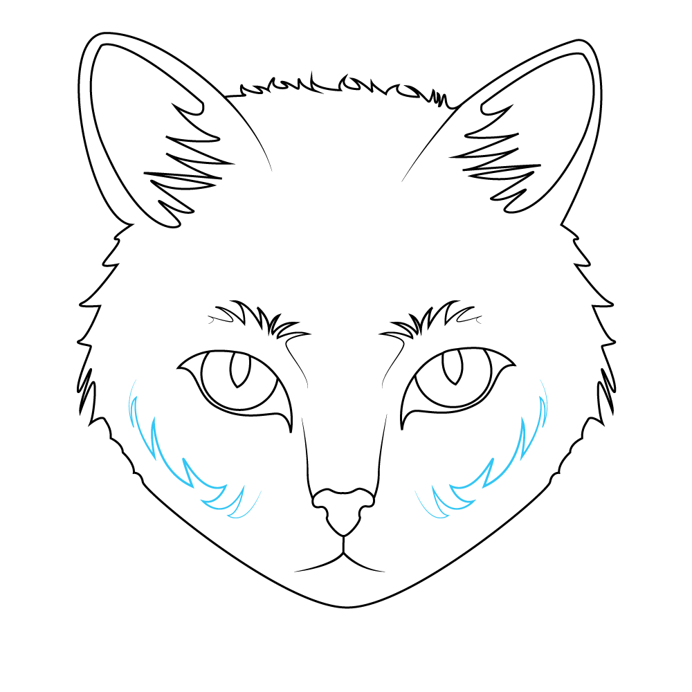 How to Draw A Cat Face Step by Step Step  9