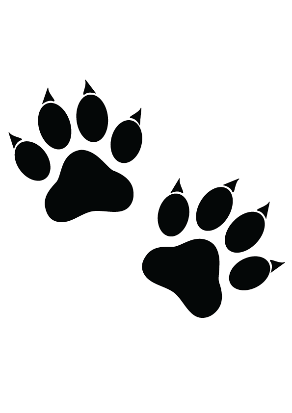 How to Draw A Cat Paw Print Step by Step Printable