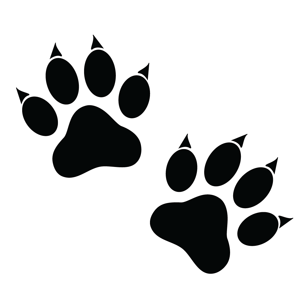 How to Draw A Cat Paw Print Step by Step Thumbnail