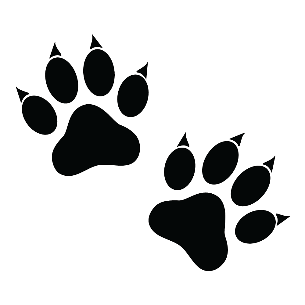 How to Draw A Cat Paw Print Step by Step