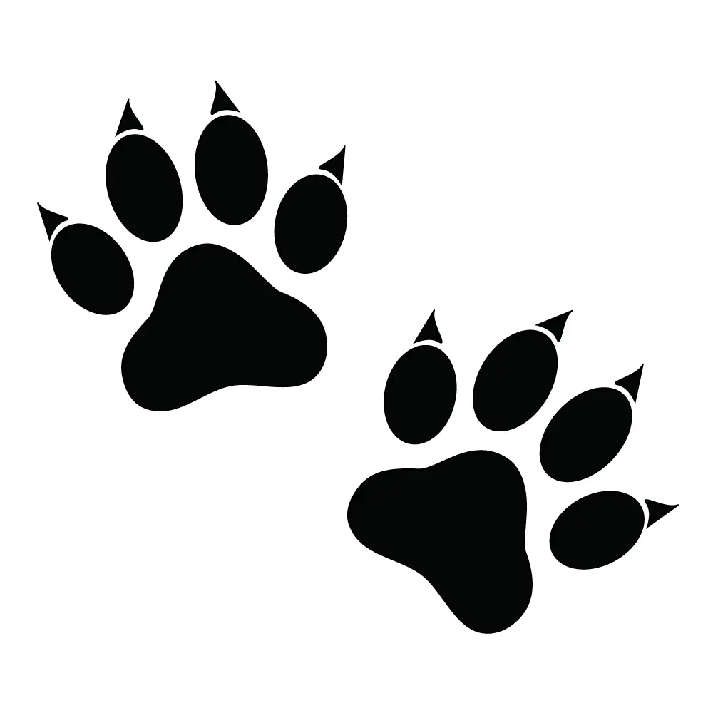 How to Draw A Cat Paw Print Step by Step Step  12
