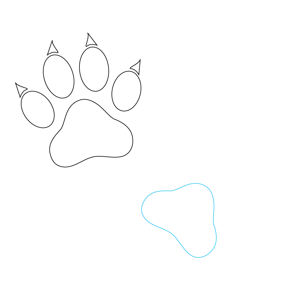 How to Draw A Cat Paw Print Step by Step Step  6