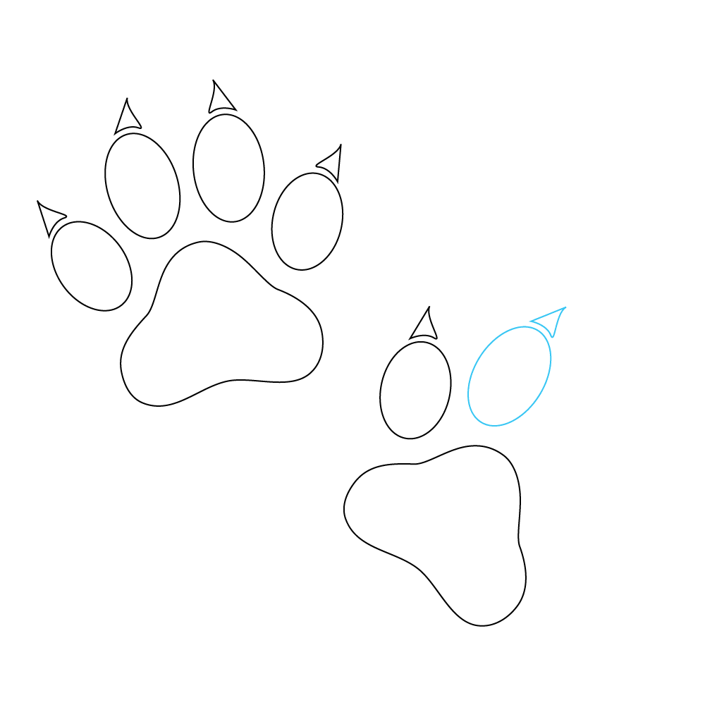 How to Draw A Cat Paw Print Step by Step Step  8