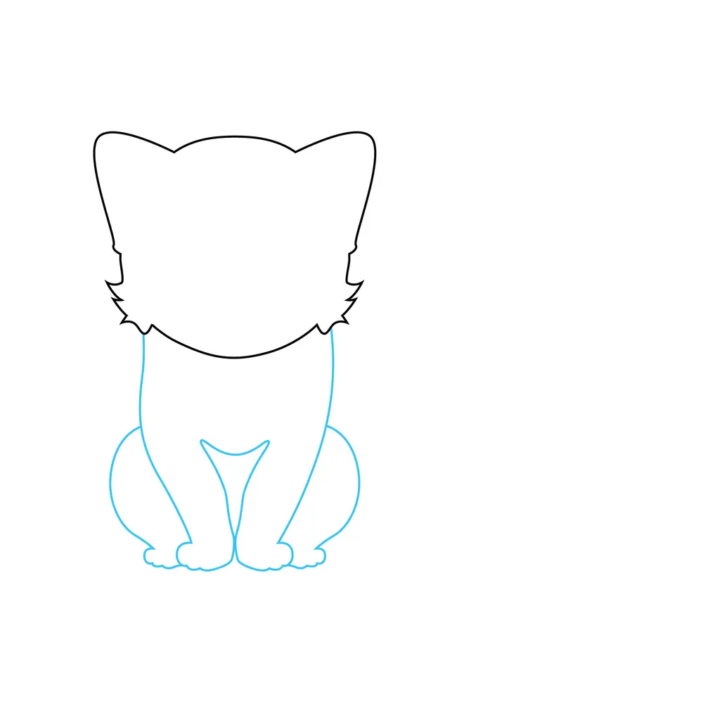 How to Draw A Cat Step by Step Step  3