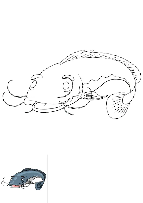 How to Draw A Catfish Step by Step Printable Dotted