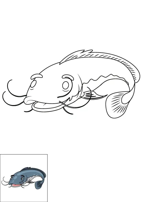 How to Draw A Catfish Step by Step Printable Color