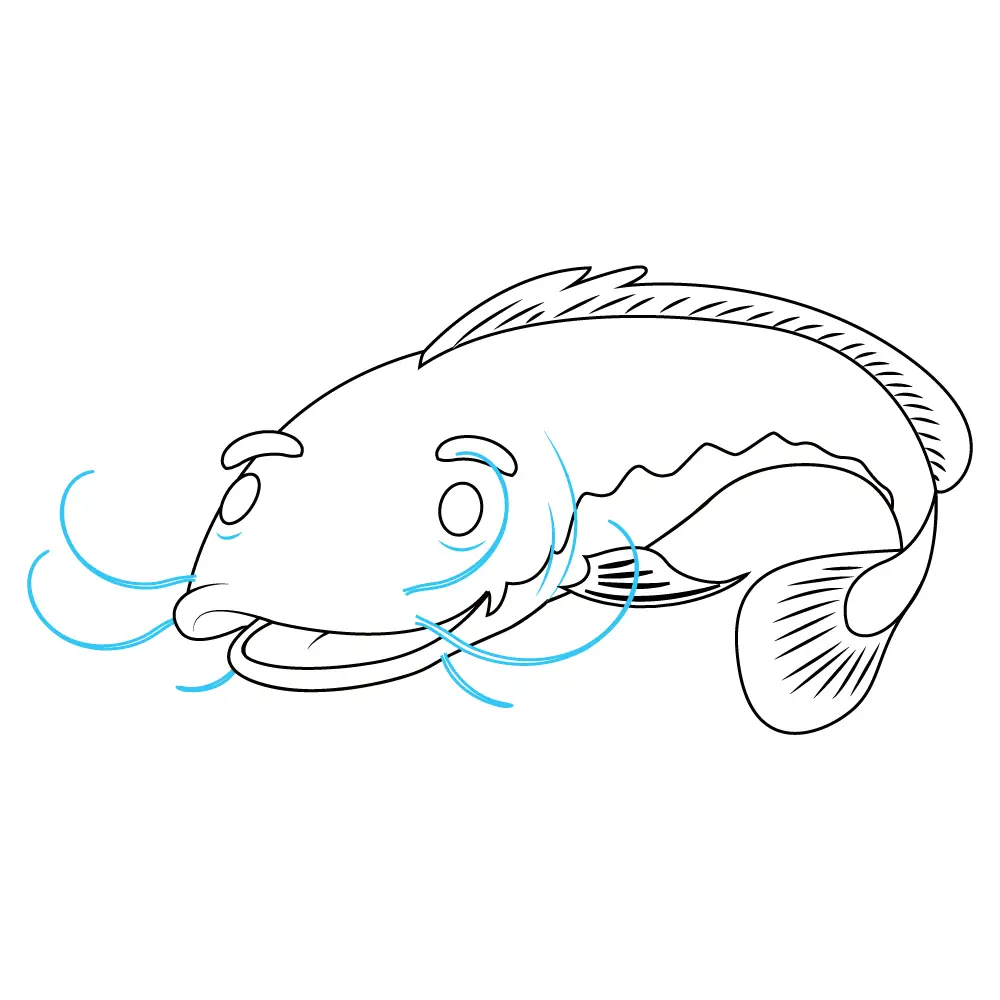 How to Draw A Catfish Step by Step Step  10