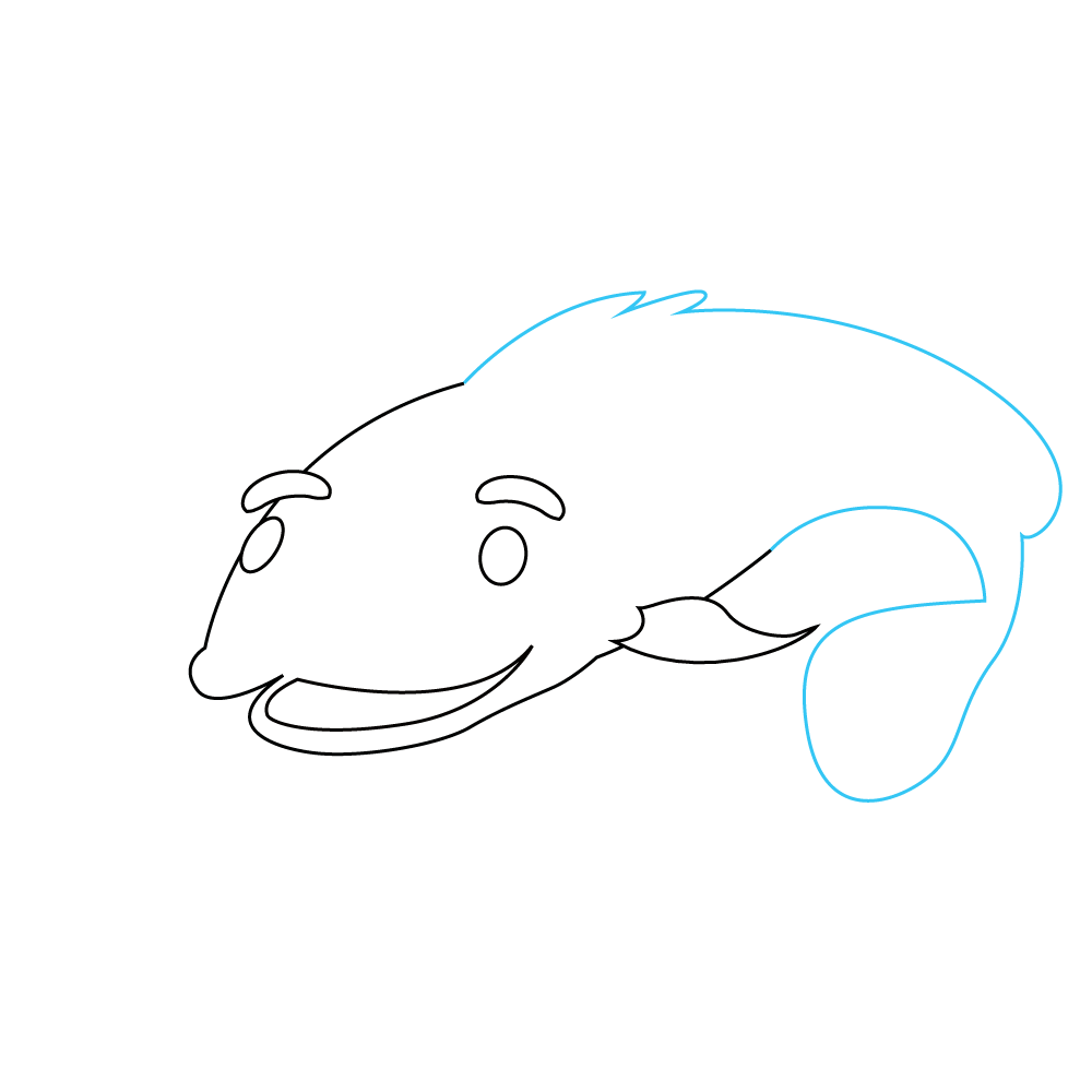 How to Draw A Catfish Step by Step Step  6