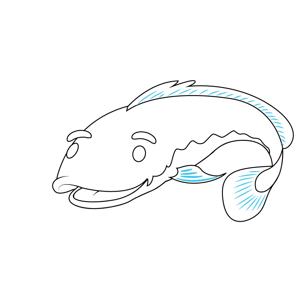 How to Draw A Catfish Step by Step Step  9