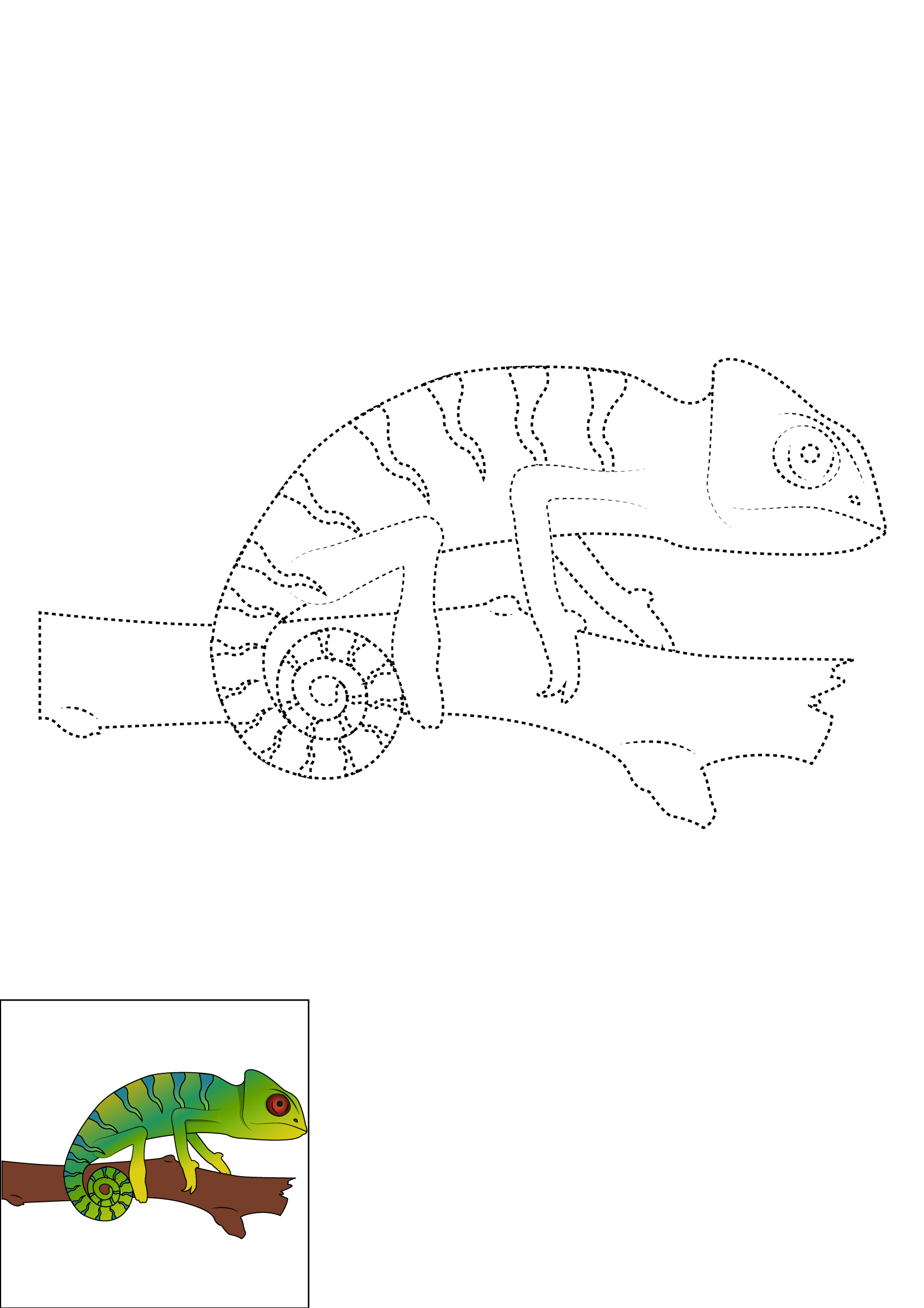 How to Draw A Chameleon Step by Step Printable Dotted