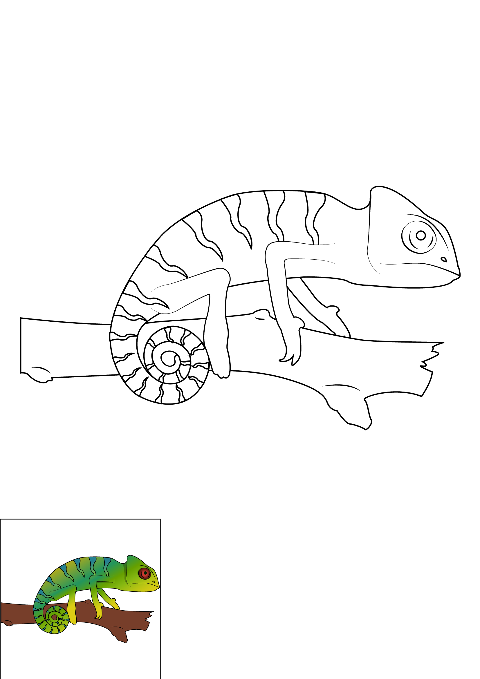 How to Draw A Chameleon Step by Step Printable Color