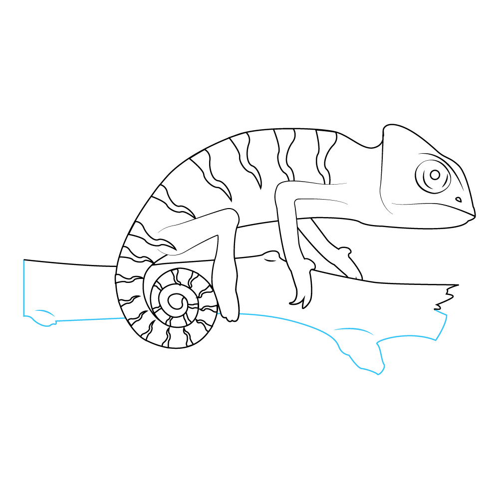 How to Draw A Chameleon Step by Step Step  10