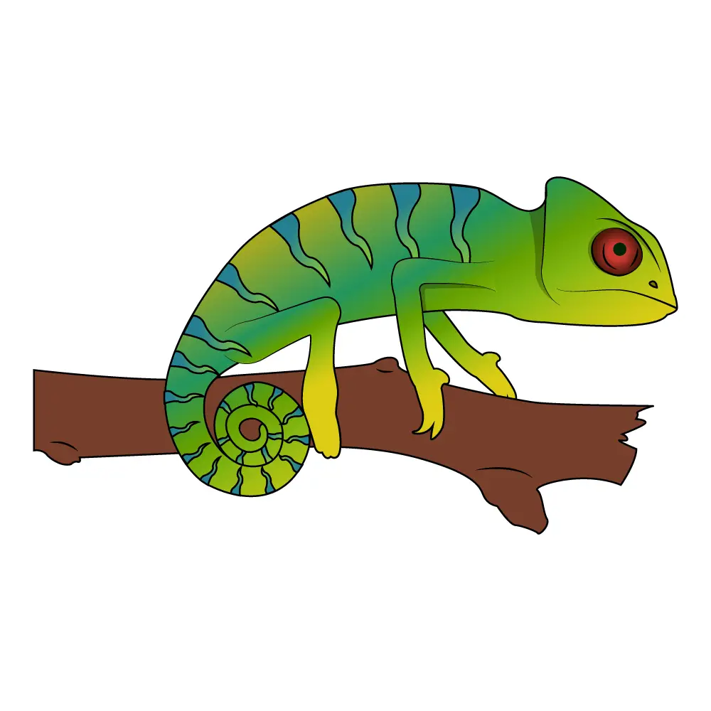 How to Draw A Chameleon Step by Step Step  12