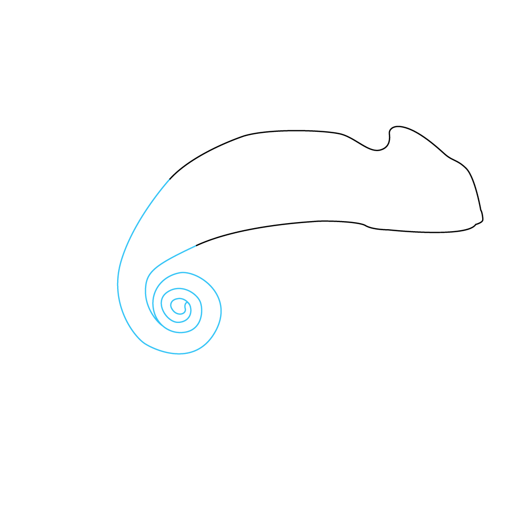 How to Draw A Chameleon Step by Step Step  2