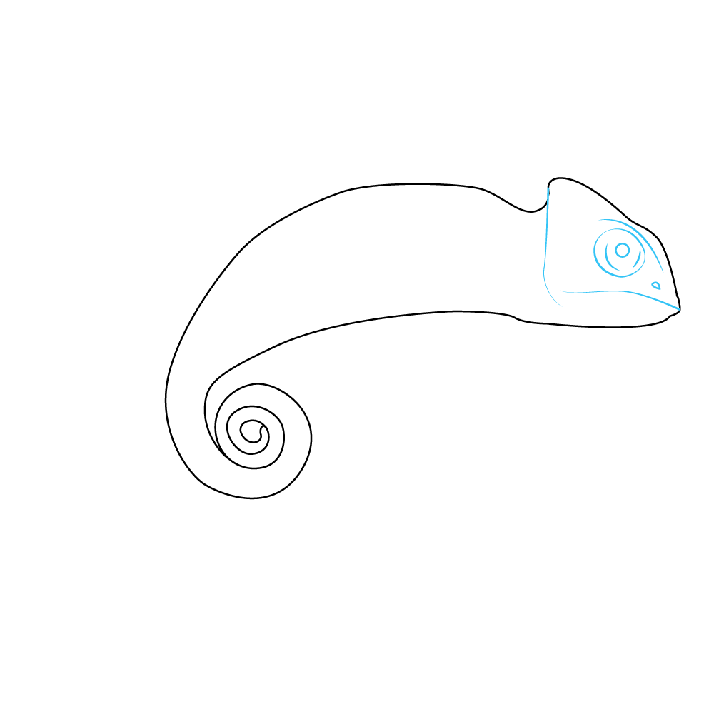 How to Draw A Chameleon Step by Step Step  3