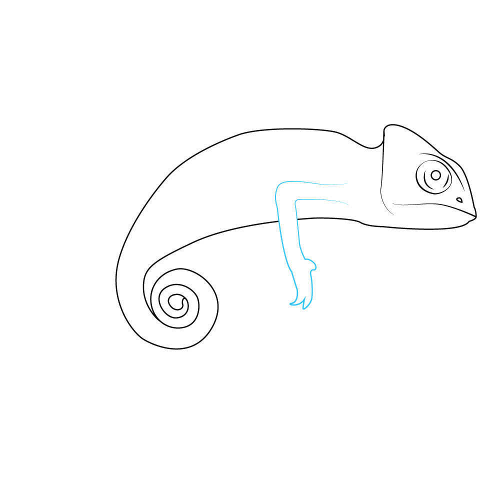 How to Draw A Chameleon Step by Step Step  4