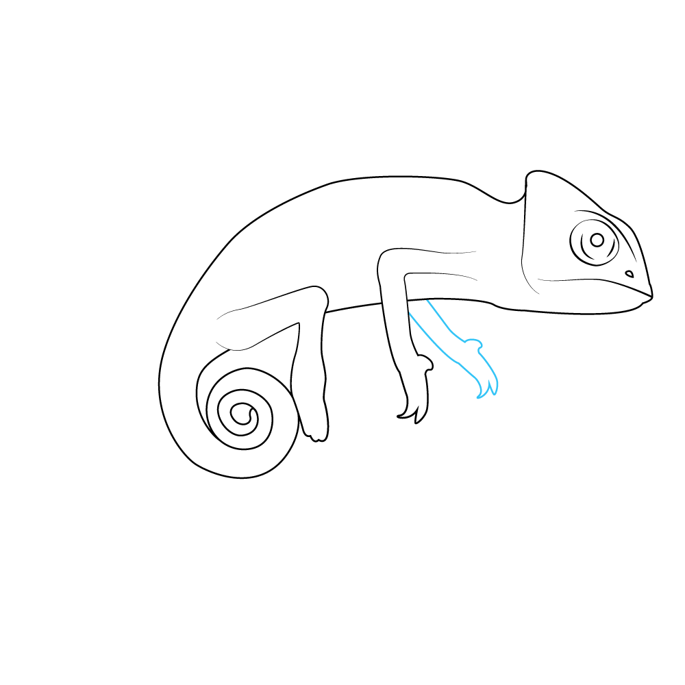 How to Draw A Chameleon Step by Step Step  6