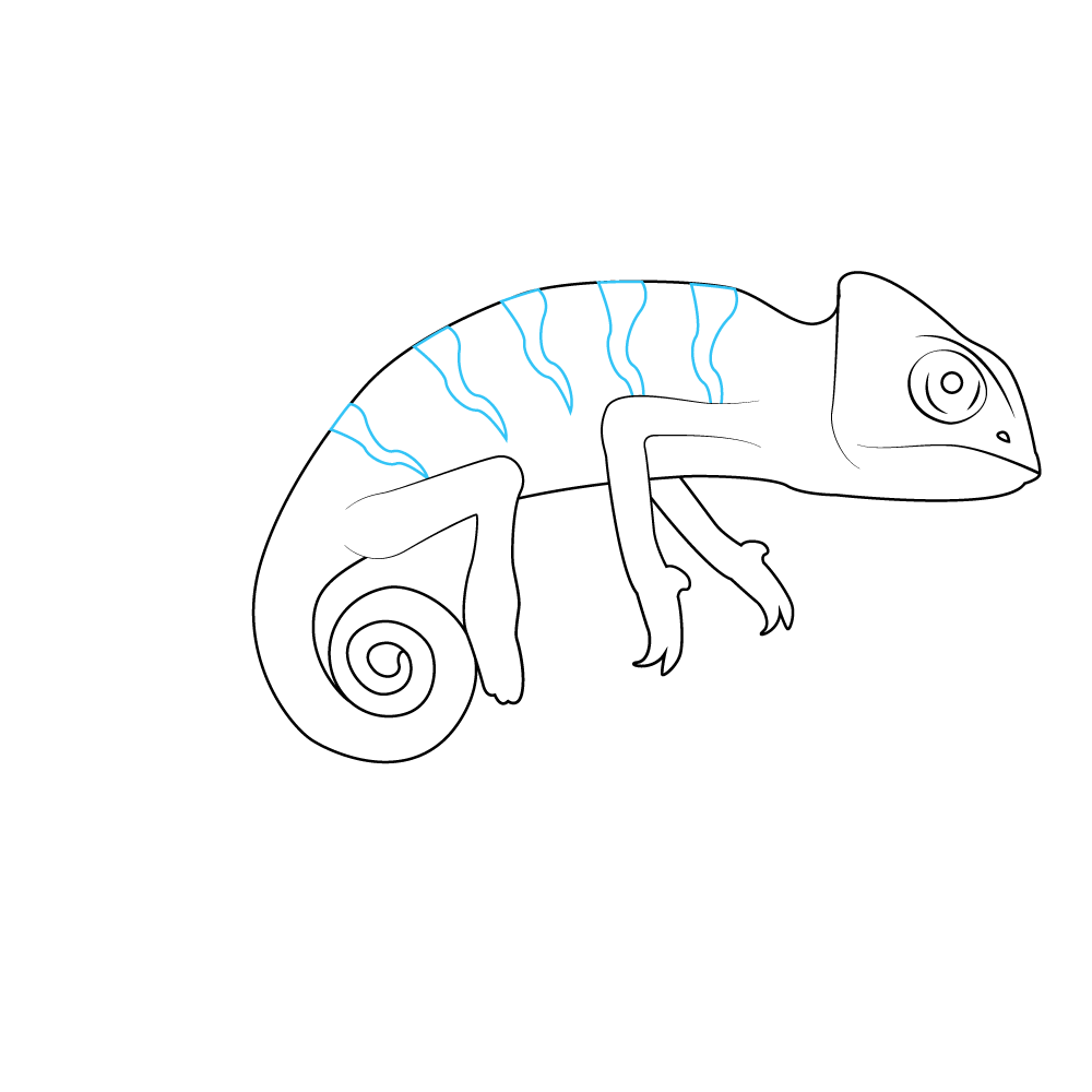 How to Draw A Chameleon Step by Step Step  7