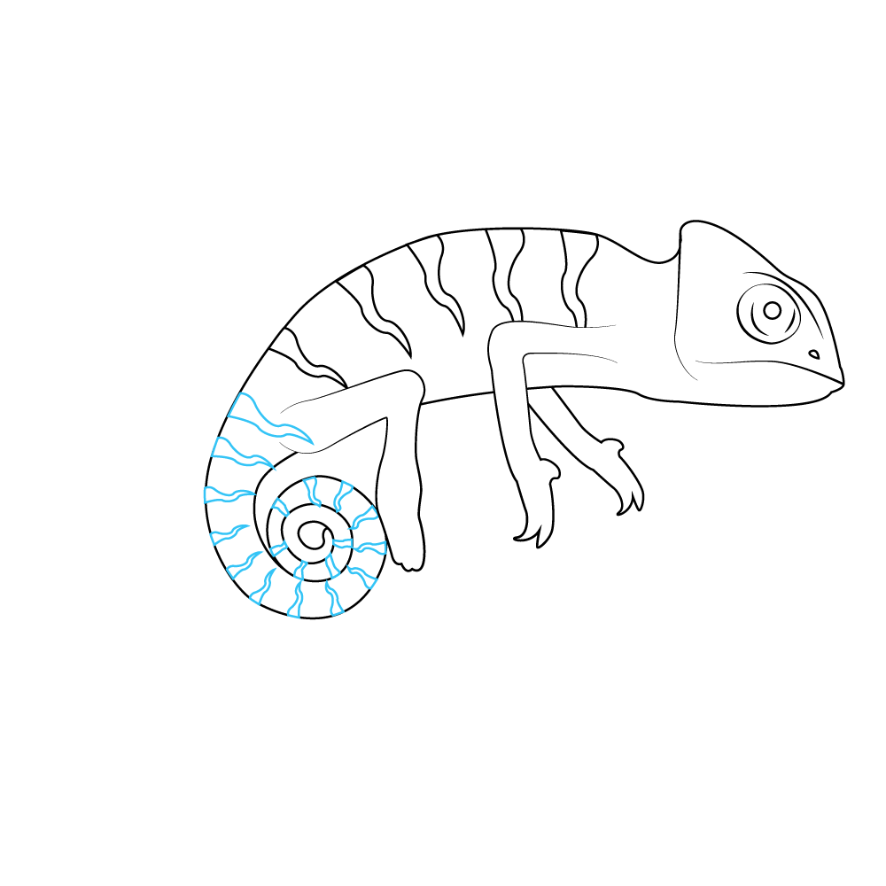 How to Draw A Chameleon Step by Step Step  8