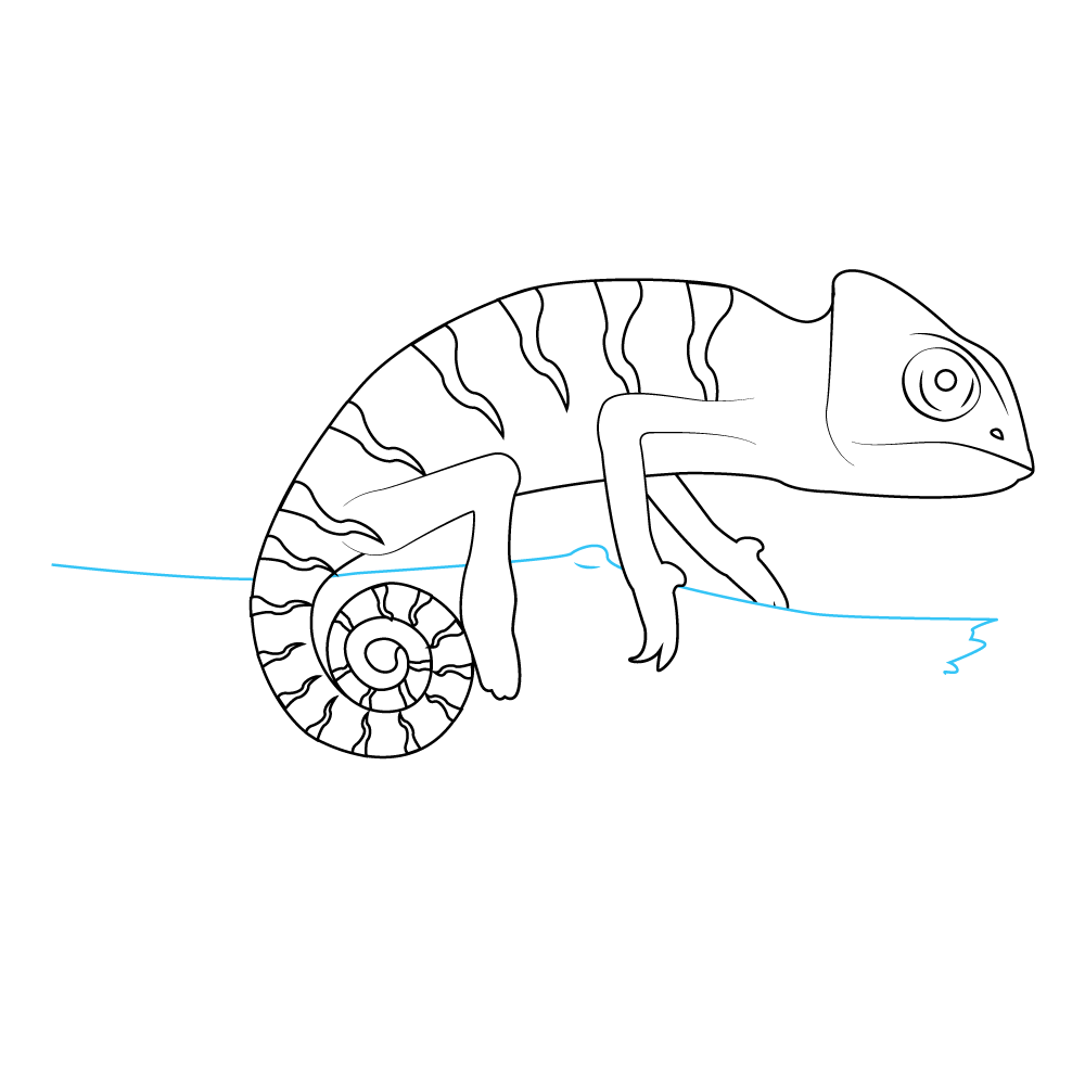 How to Draw A Chameleon Step by Step Step  9