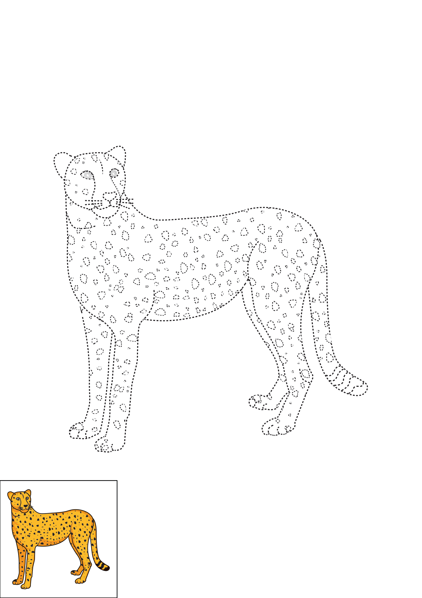 How to Draw A Cheetah Step by Step Printable Dotted