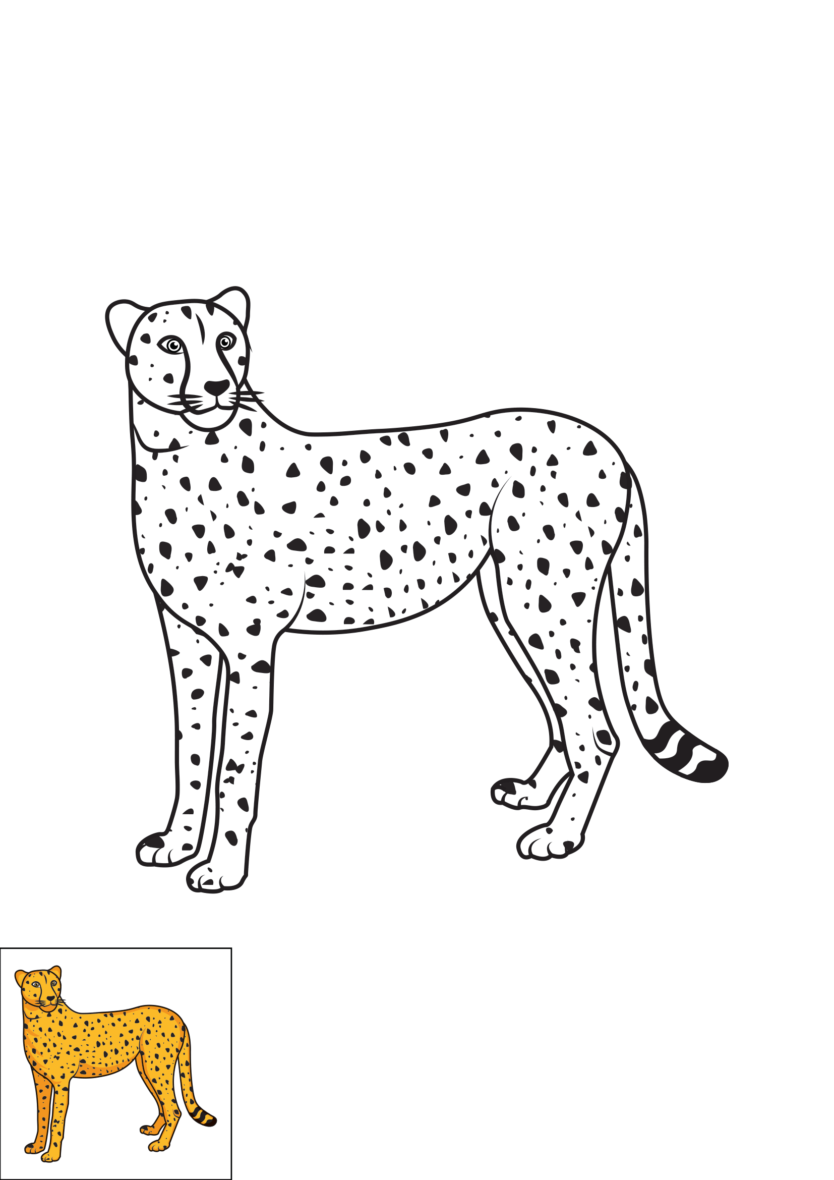 How to Draw A Cheetah Step by Step Printable Color