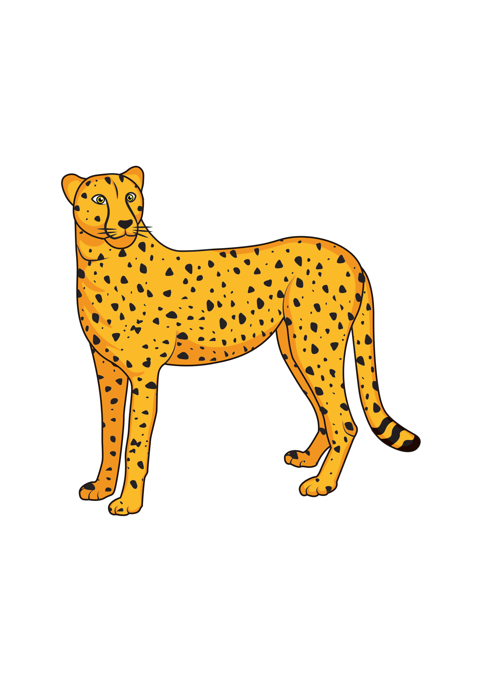 How to Draw A Cheetah Step by Step Printable