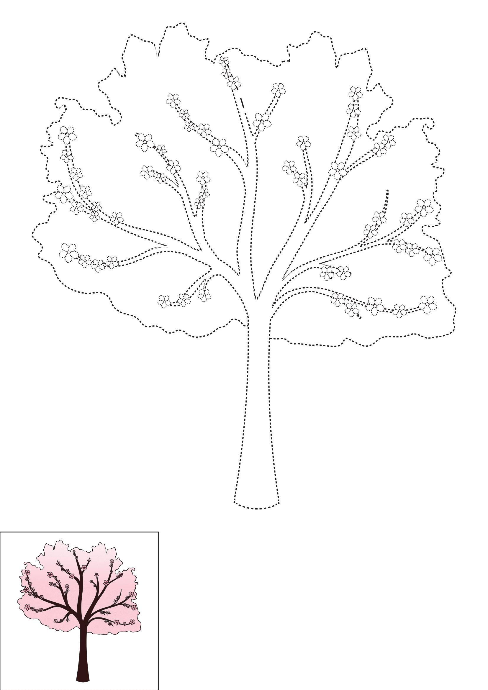 How to Draw A Cherry Blossom Tree Step by Step Printable Dotted
