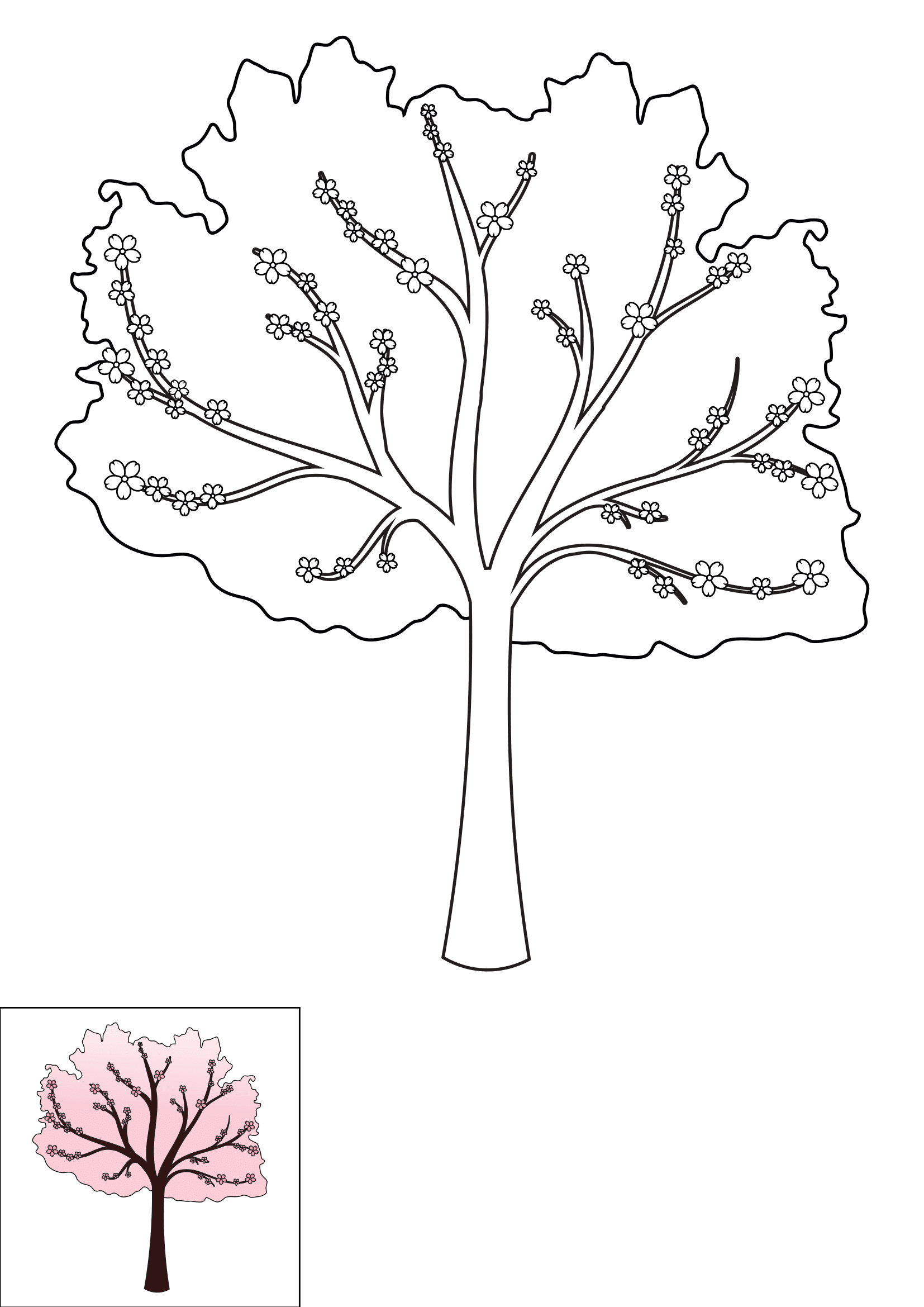 How to Draw A Cherry Blossom Tree Step by Step Printable Color