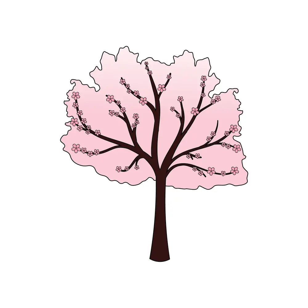 How to Draw A Cherry Blossom Tree Step by Step Step  8