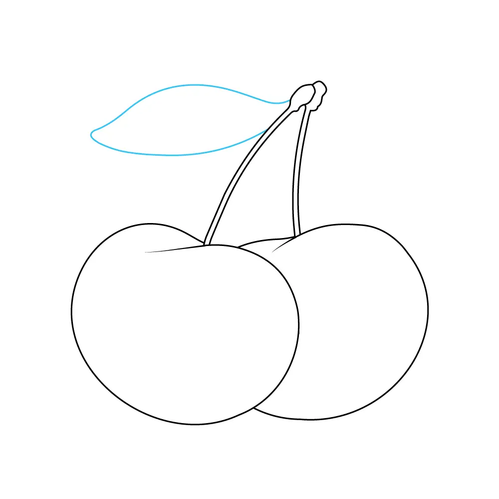 How to Draw A Cherry Step by Step Step  8