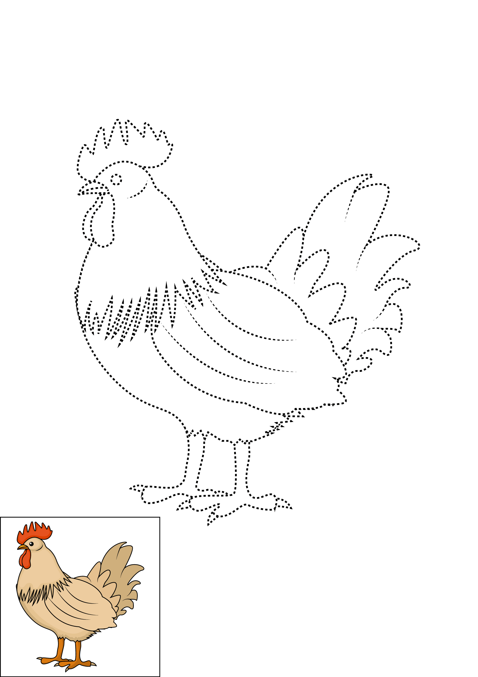 How to Draw A Chicken Step by Step Printable Dotted