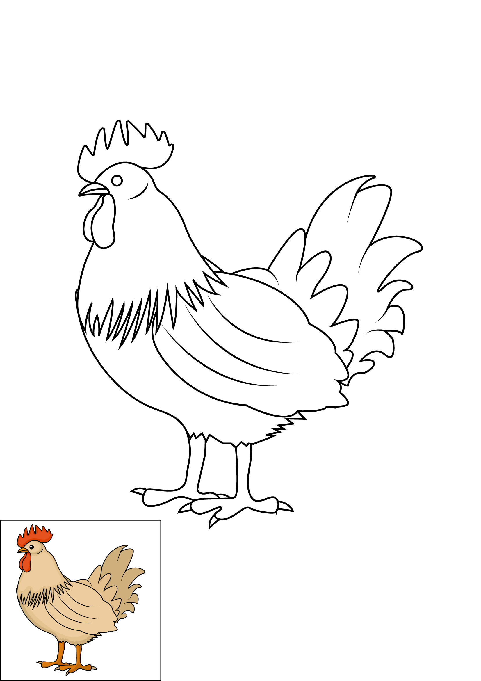 How to Draw A Chicken Step by Step Printable Color