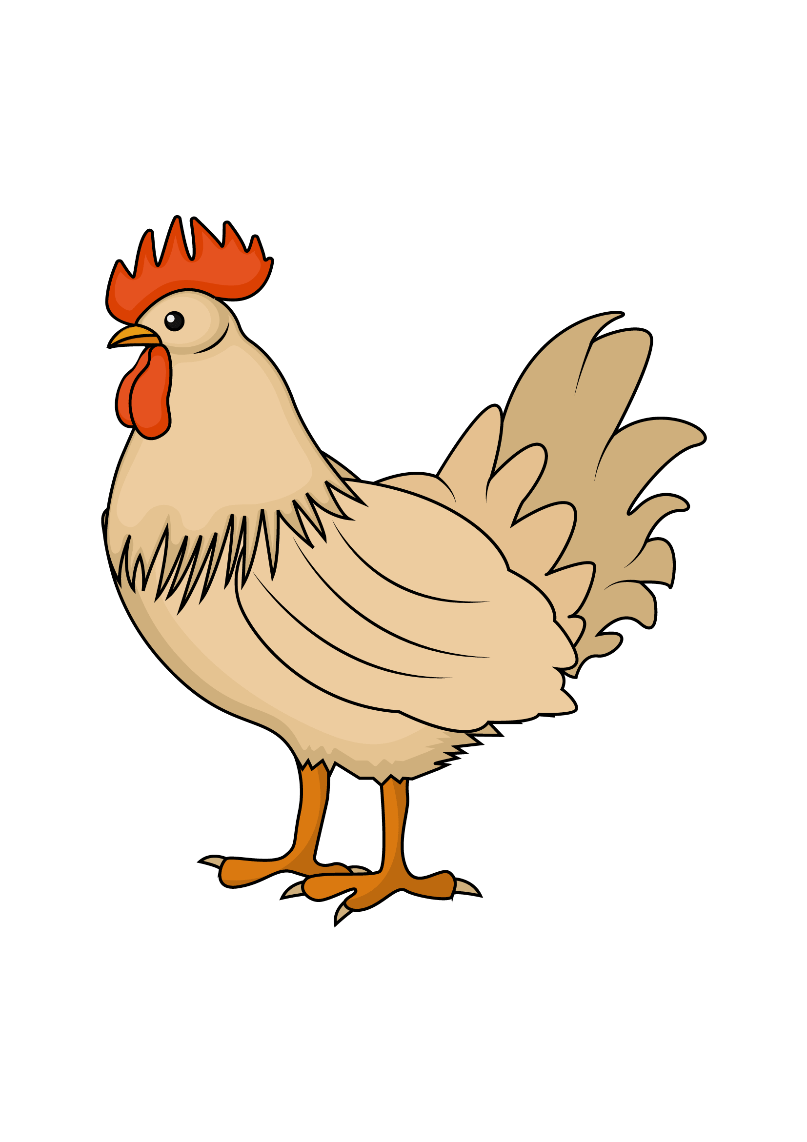 How to Draw A Chicken Step by Step Printable