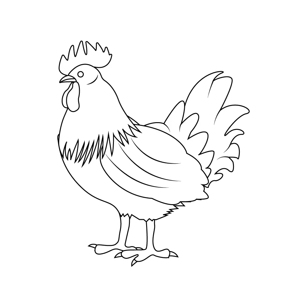 How to Draw A Chicken Step by Step Step  10