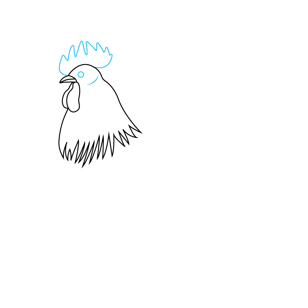 How to Draw A Chicken Step by Step Step  3