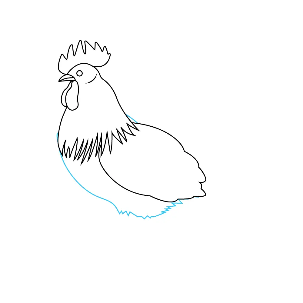 How to Draw A Chicken Step by Step Step  5