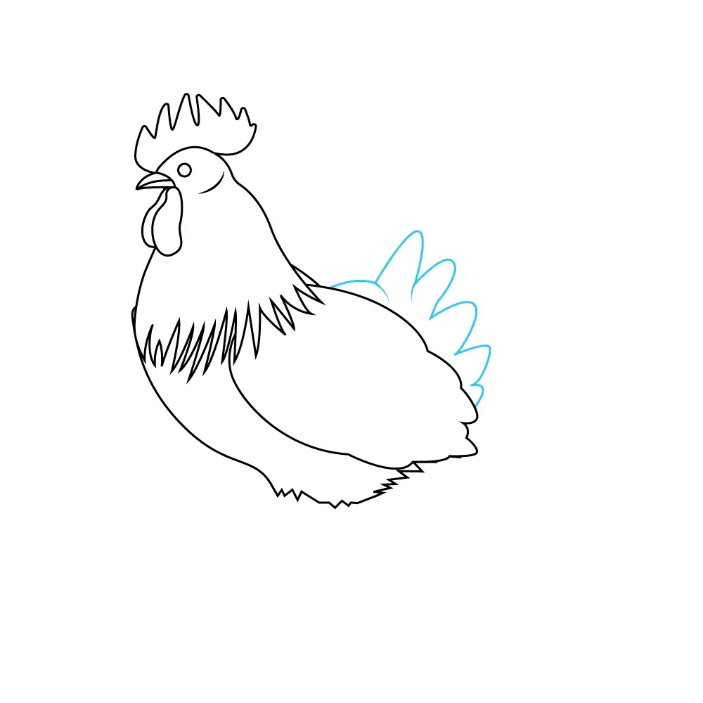 How to Draw A Chicken Step by Step Step  6