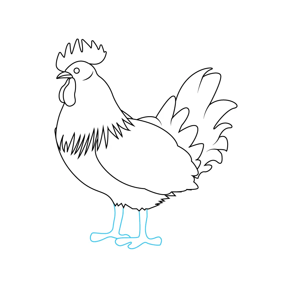 How to Draw A Chicken Step by Step Step  8