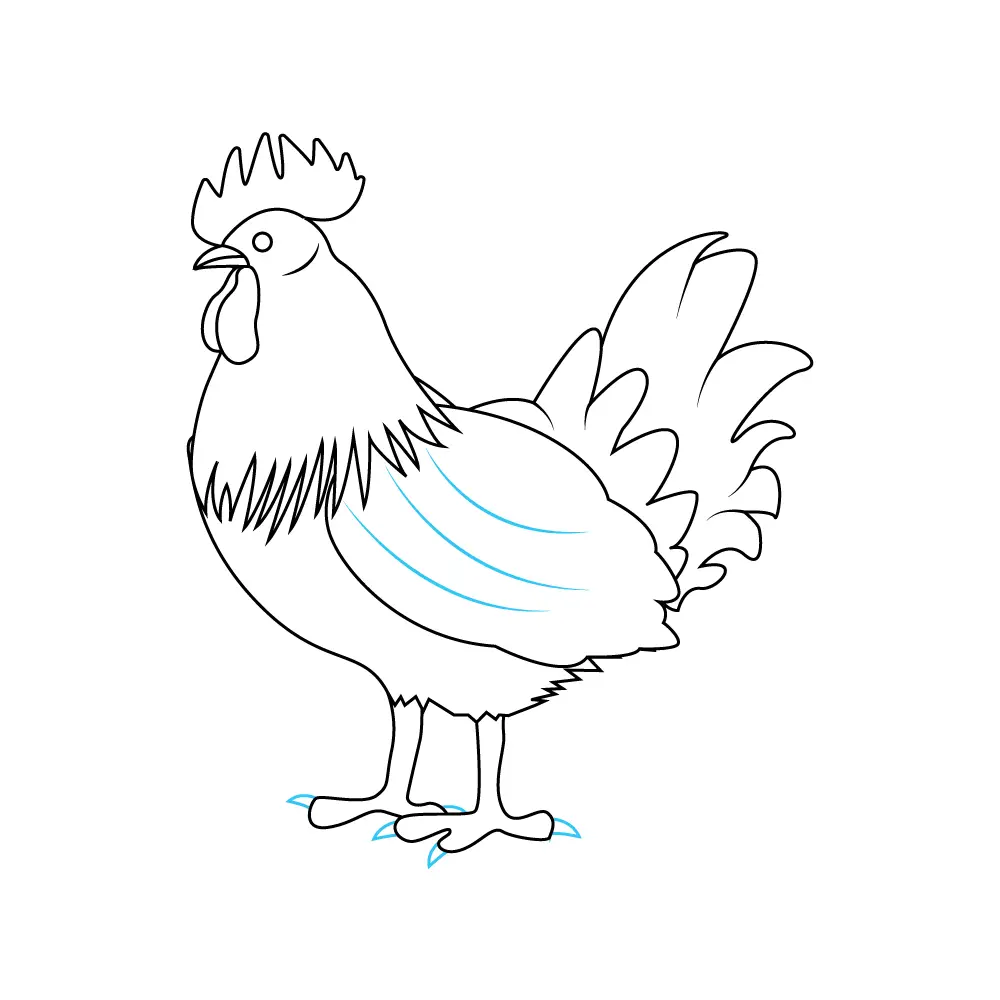 How to Draw A Chicken Step by Step Step  9