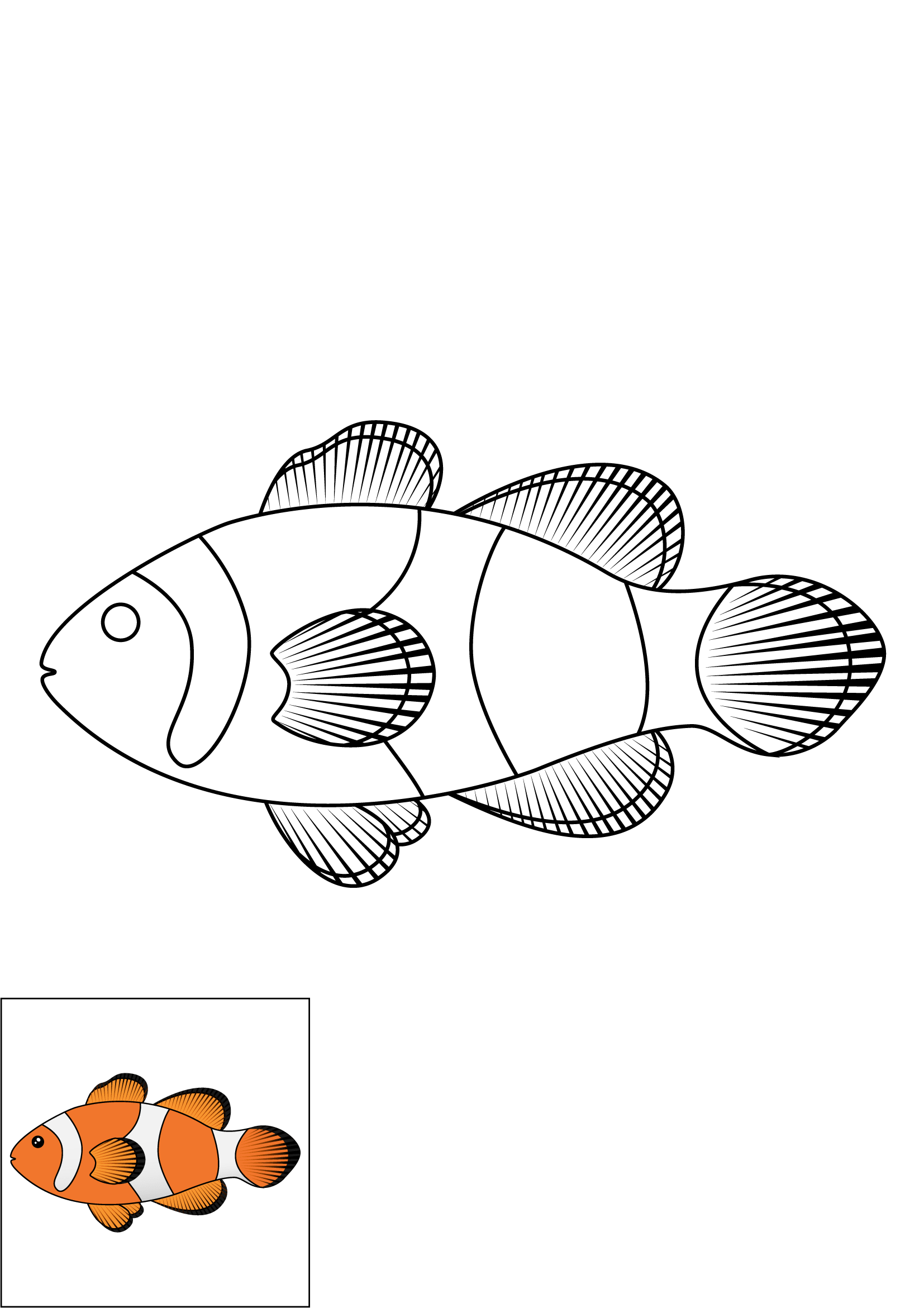 How to Draw A Clownfish Step by Step Printable Color